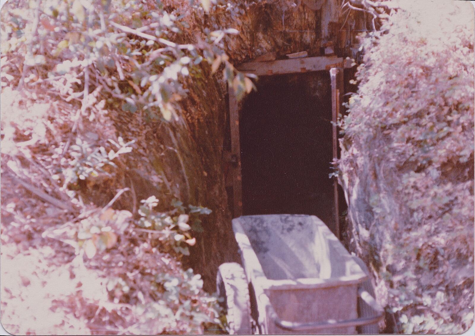The iron ore cart sitting empty on rails outside a dark portal entry at the Red Wing in the 1980s, with vegetation crowding the trail on both sides.