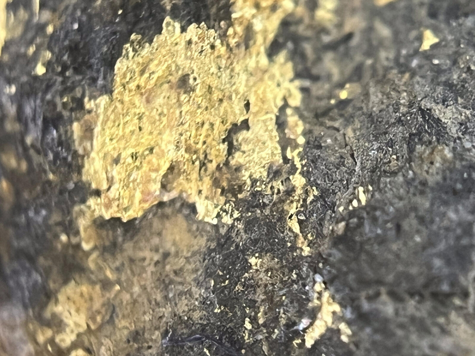 A thick band of gold running through dark quartz host rock from the Red Wing.