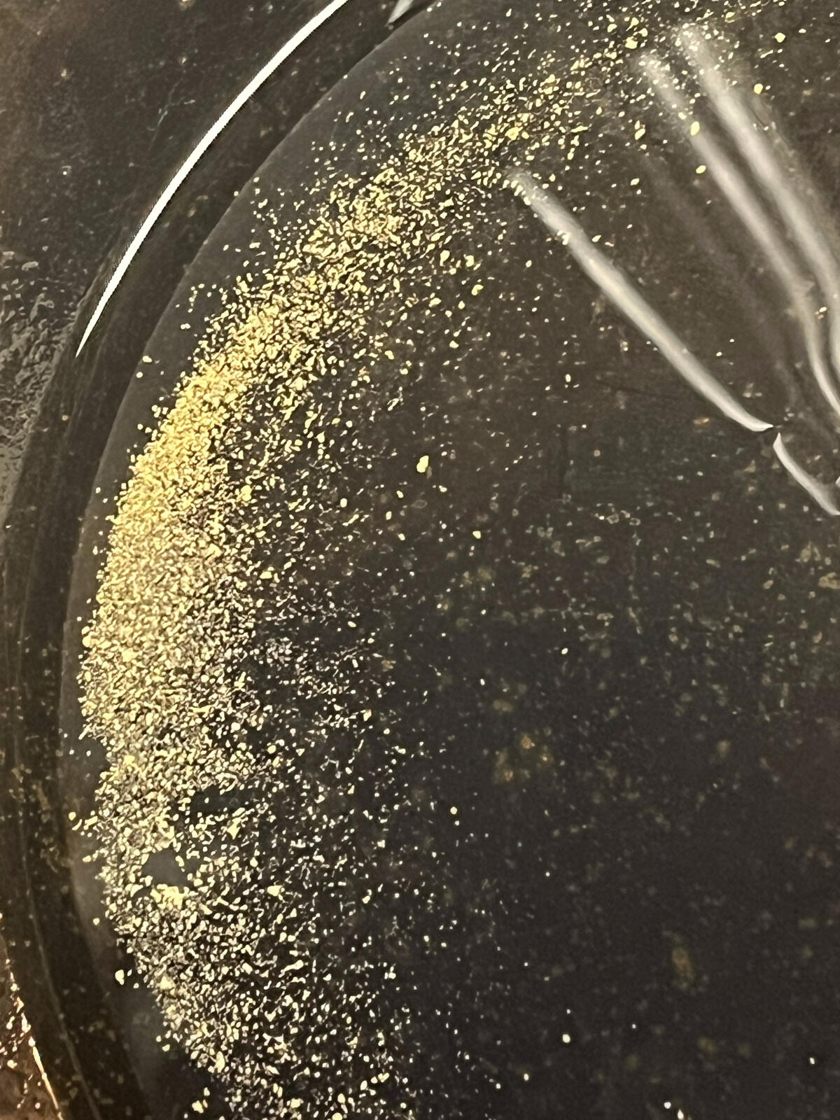 A crescent of fine gold concentrate hugging the inside edge of a black gold pan, wet.