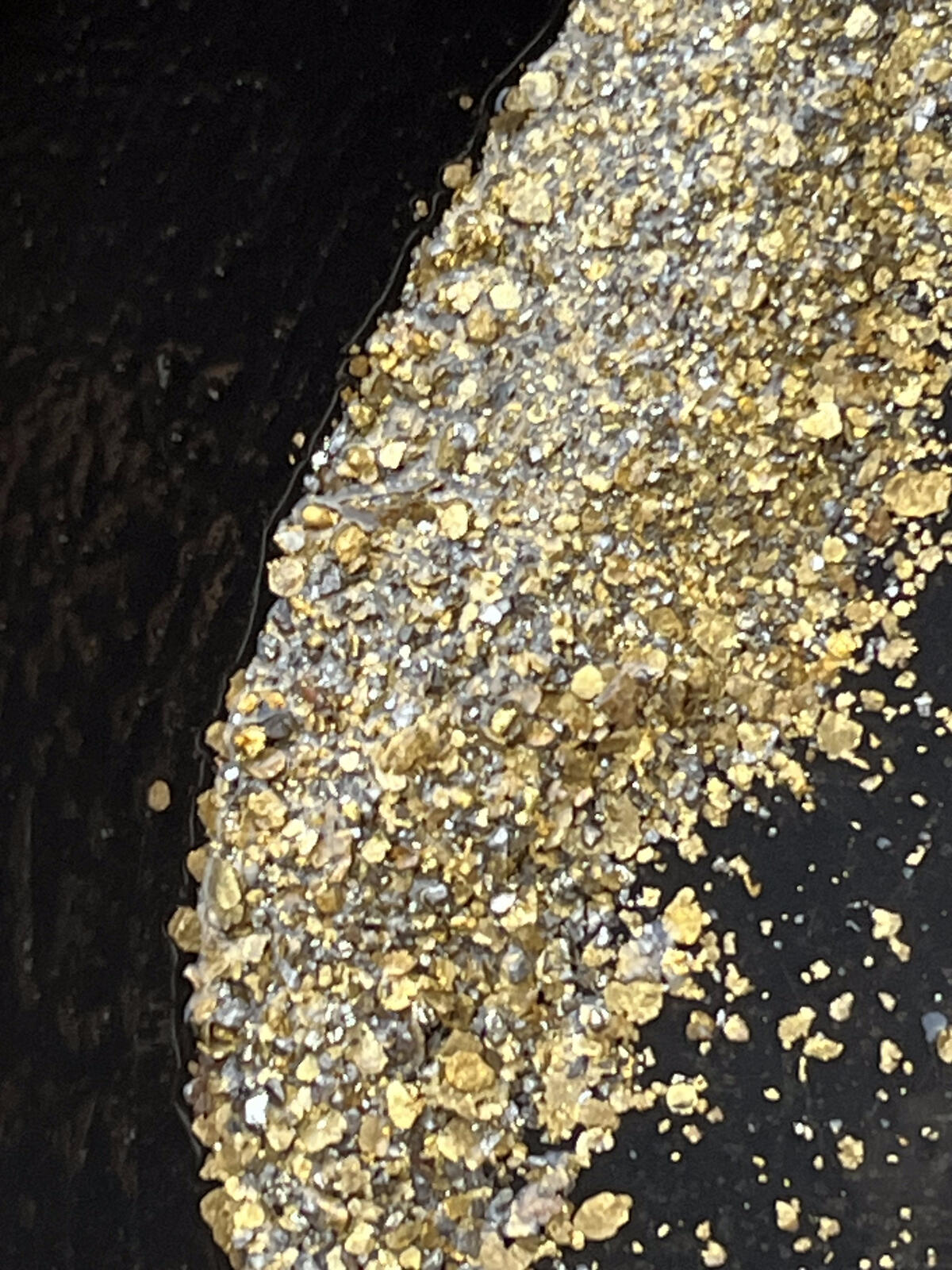 Close-up of mixed gold flakes and silver-grey pan material, wet.