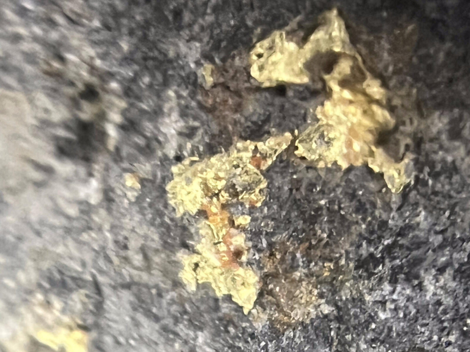 Several separate pieces of gold scattered across a dark slate surface.