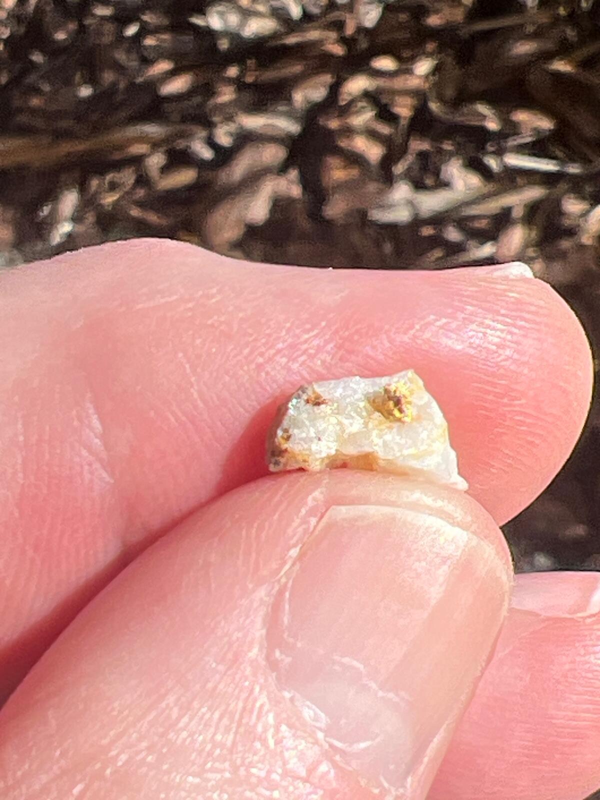 A tiny piece of pale quartz with a few gold inclusions, balanced on a fingertip.